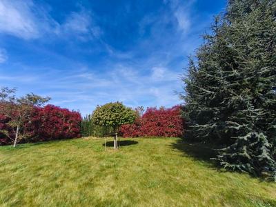 Terrain constructible - 1 002 m²