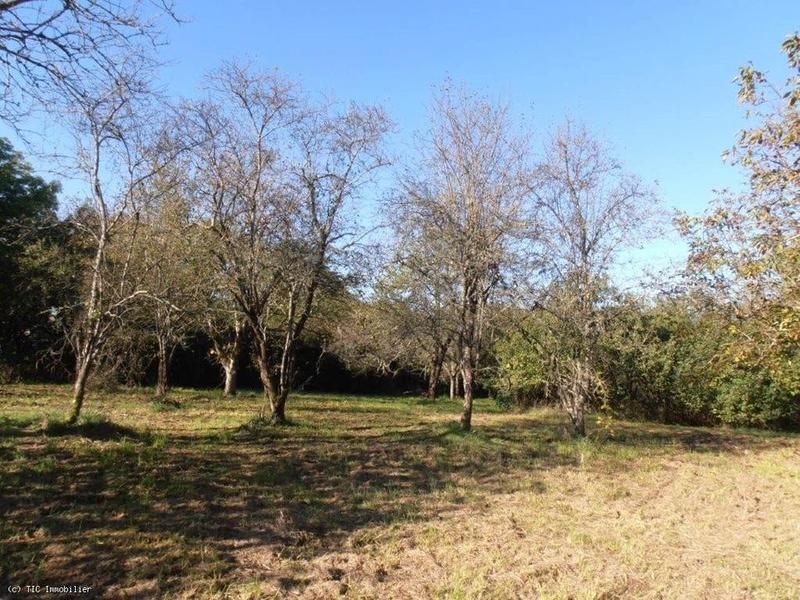 Maison de campagne - 180 m² - 7 pièces