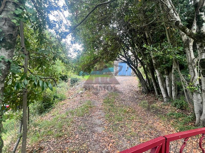 Maison en pierre - 52 m² - 3 pièces