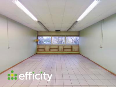 Bureau - 550 m² - 5 pièces