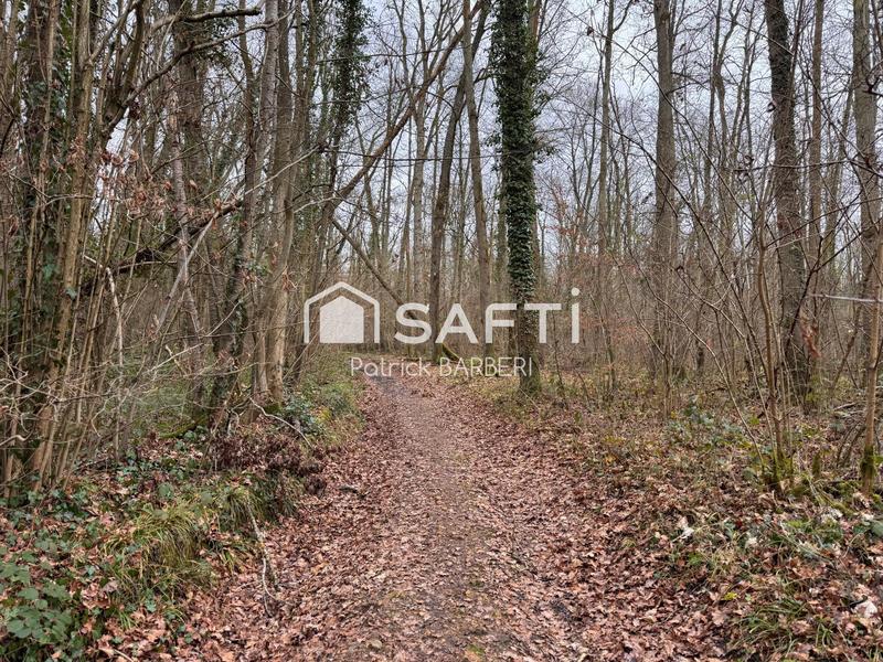 Terrain - 58 000 m²