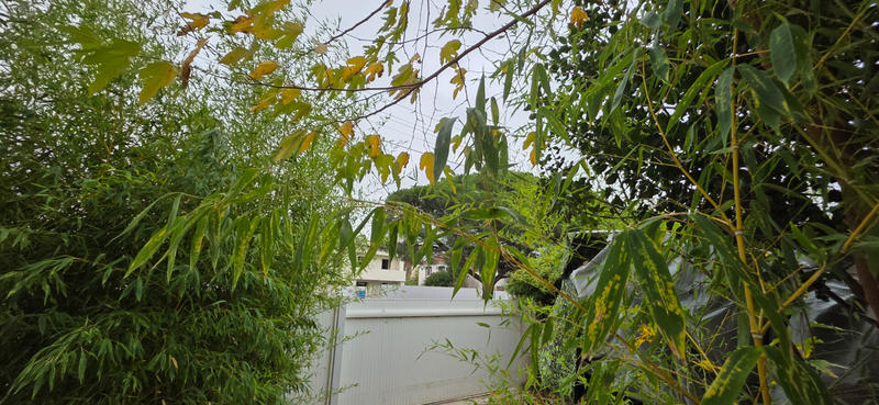 Maison - 200 m² - 6 pièces