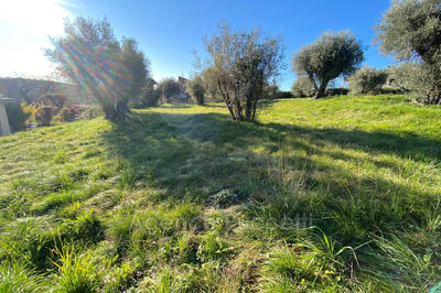 Terrain - 1 002 m²