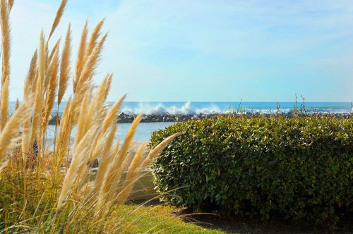 Résidence l'Albatros