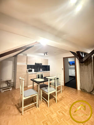 Loft - 49 m² - 2 pièces
