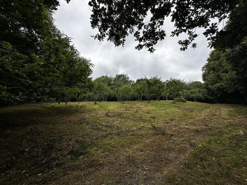 Terrain - 57 753 m²