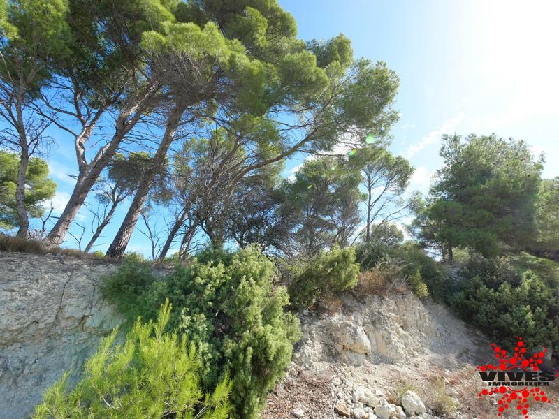 Terrain de loisirs - 23 990 m²