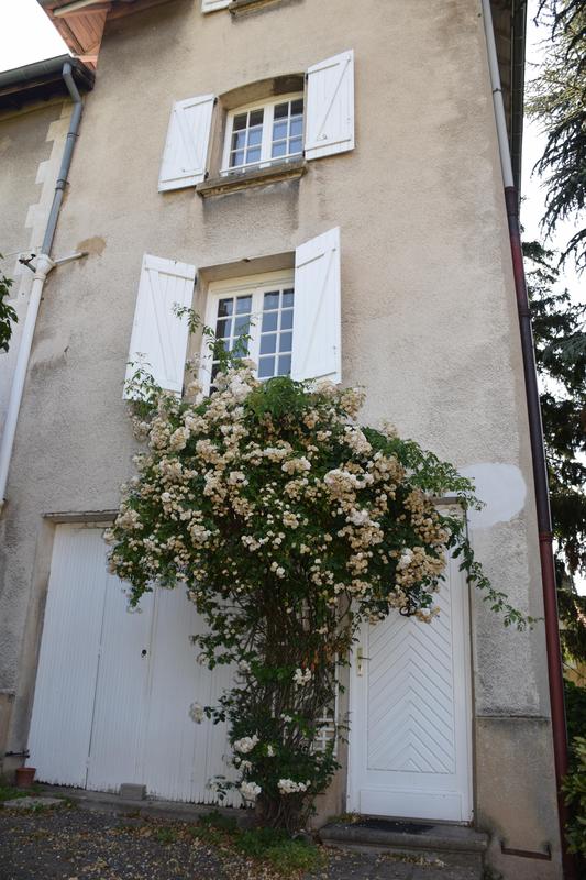 Propriété - 308 m² - 13 pièces