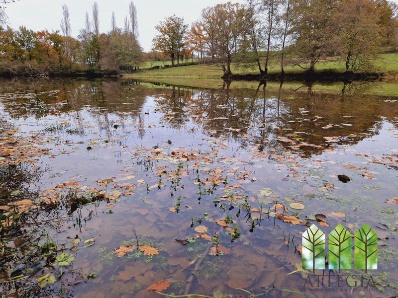 Maison - 220 m² - 7 pièces