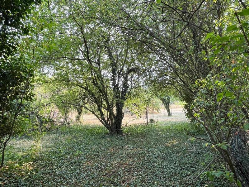 Ferme - 380 m² - 2 pièces