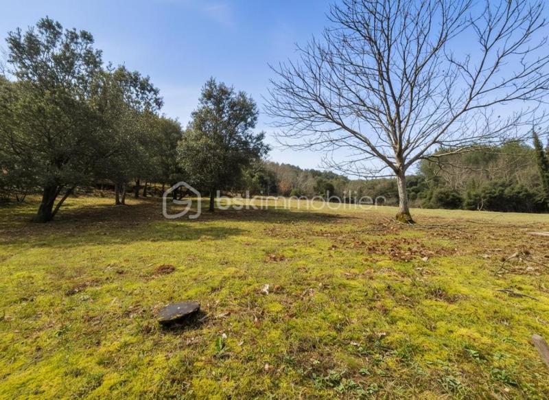 Maison en pierre - 110 m² - 5 pièces