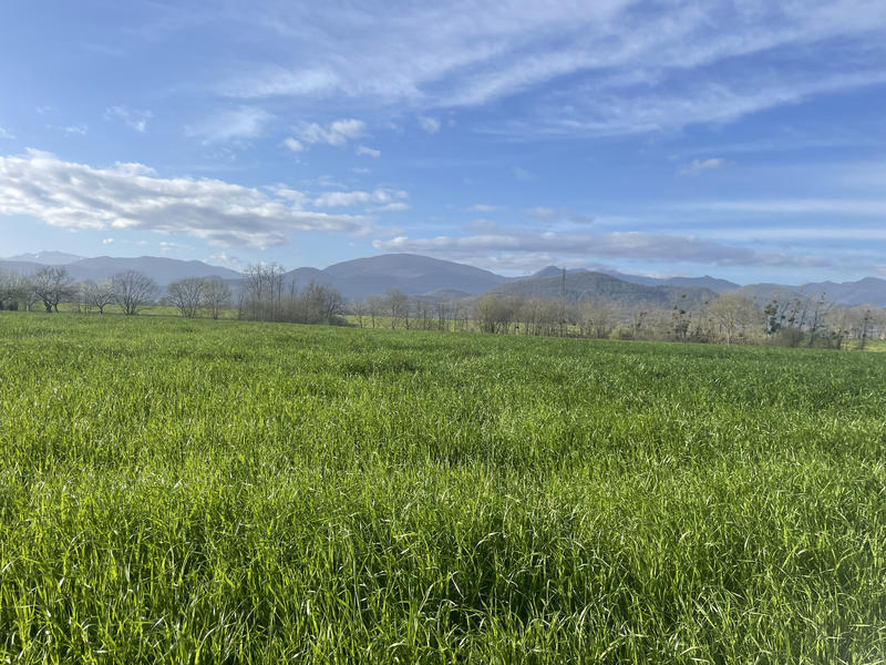 Terrain - 12 455 m²