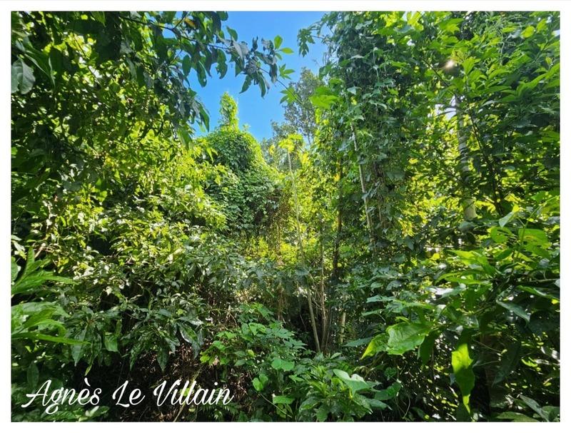 Terrain constructible - 1 041 m²