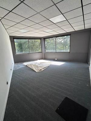 Bureau - 100 m² - 5 pièces
