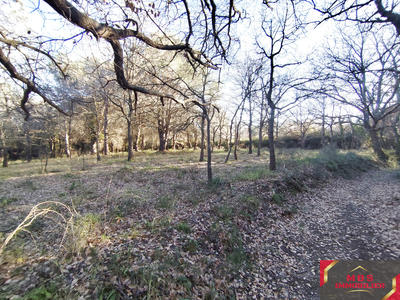 Terrain agricole - 3 705 m²