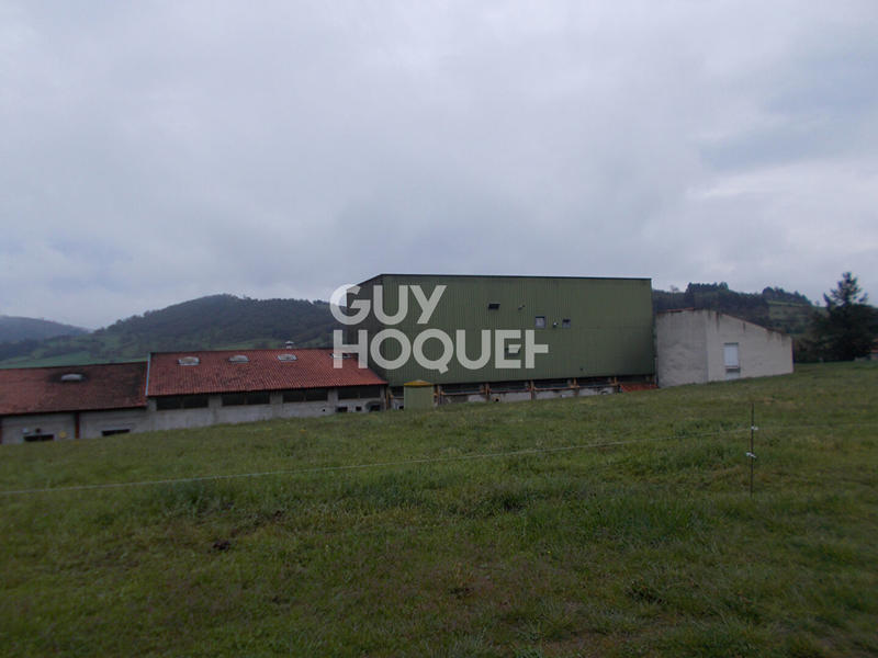 Local d'activité / Entrepôt - 2 300 m²