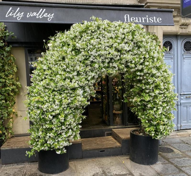 Fonds de commerce - 45 m²