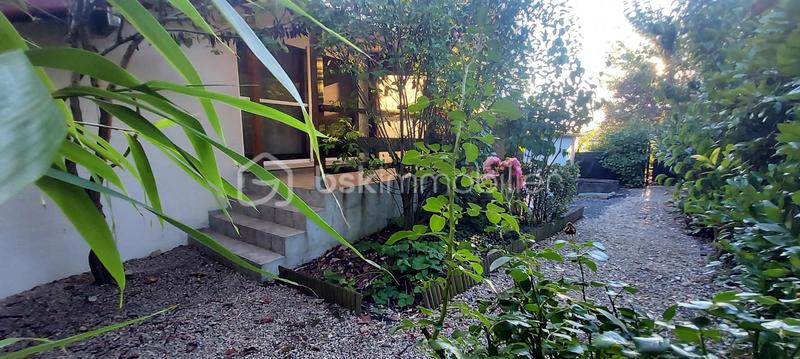 Maison ancienne - 77 m² - 5 pièces