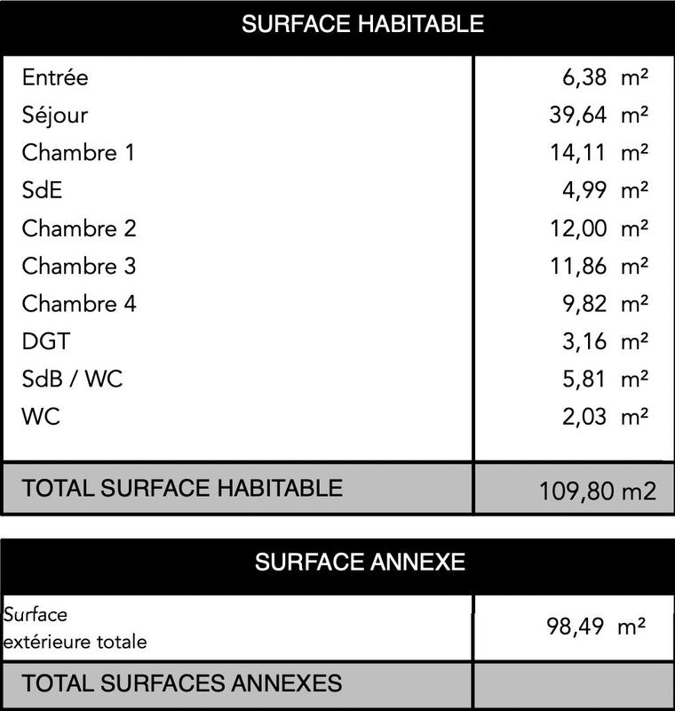 Appartement - 110 m² - 5 pièces