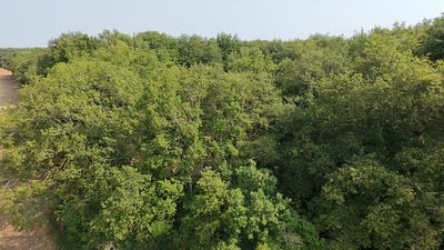 Terrain - 45 170 m²