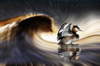 Exposition artistique à la Maison de Loire : Tourbillons