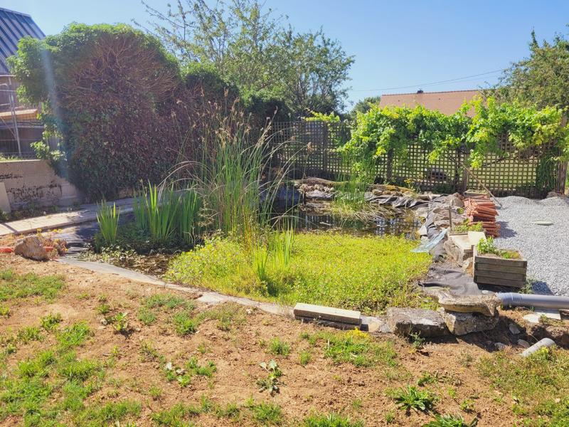 Maison ancienne - 222 m² - 7 pièces