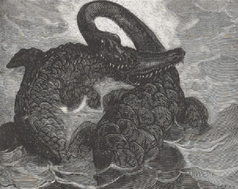 Conférence : Sur les traces d'un combat de dinosaures