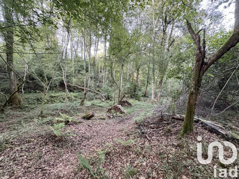 Maison - 146 m² - 7 pièces