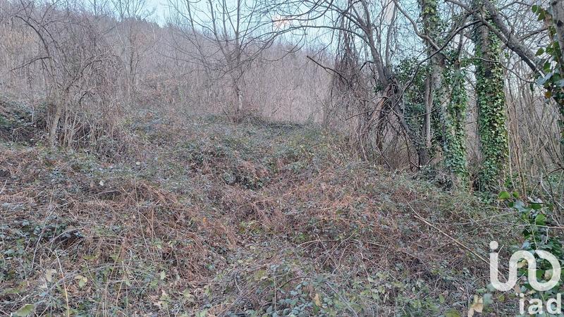 Terrain - 50 940 m²