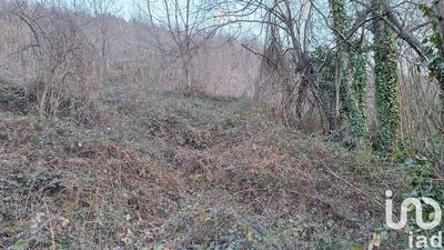 Terrain - 50 940 m²