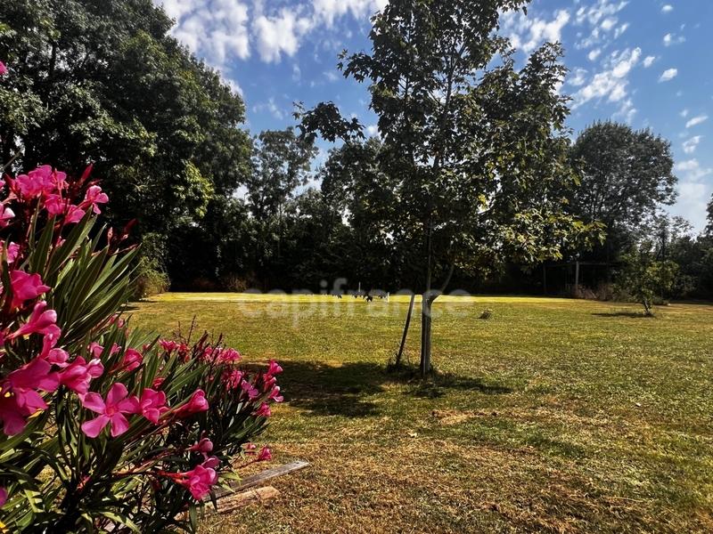 Propriété - 590 m² - 20 pièces