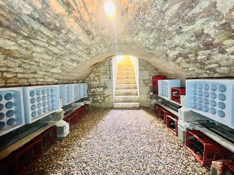 Propriété - 315 m² - 9 pièces