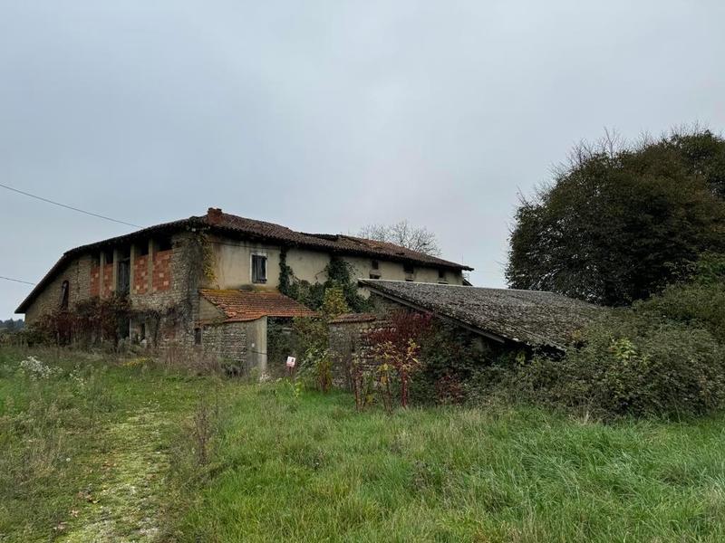 Terrain - 98 000 m²