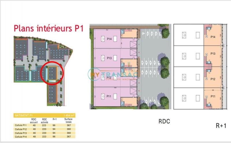 Local d'activité / Entrepôt - 360 m²