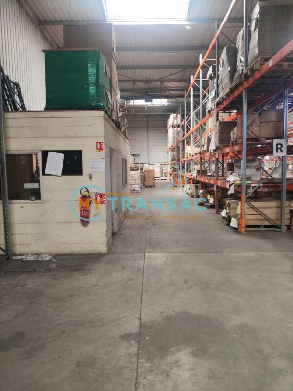 Local d'activité / Entrepôt - 3 699 m²