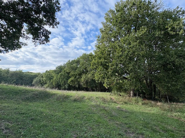 Propriété - 126 m² - 6 pièces