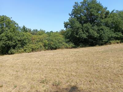 Terrain constructible - 1 015 m²