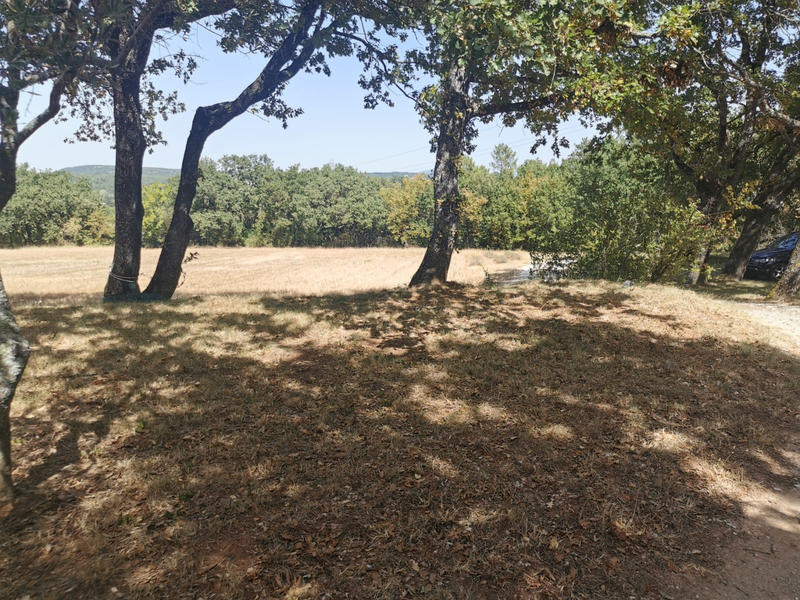 Mas - 250 m² - 7 pièces