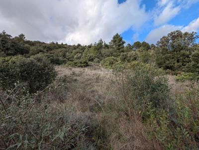 Terrain constructible - 2 300 m²