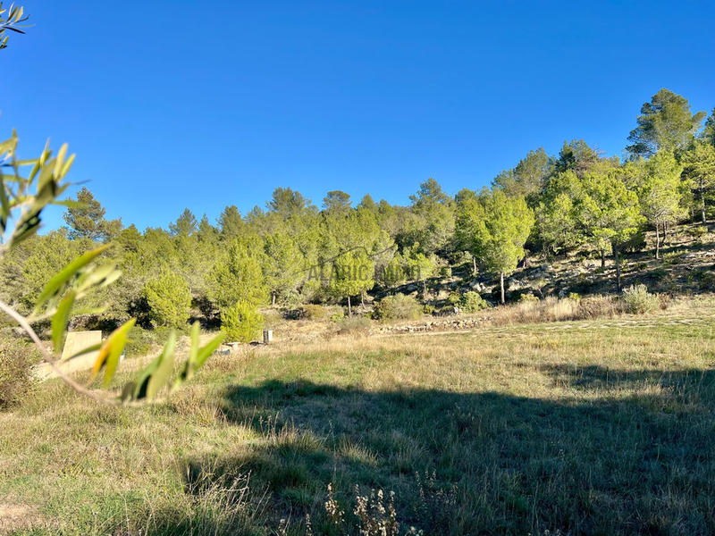 Maison - 37 m² - 2 pièces