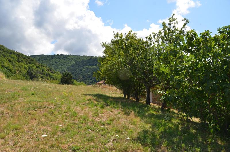 Corps de ferme - 82 m² - 5 pièces