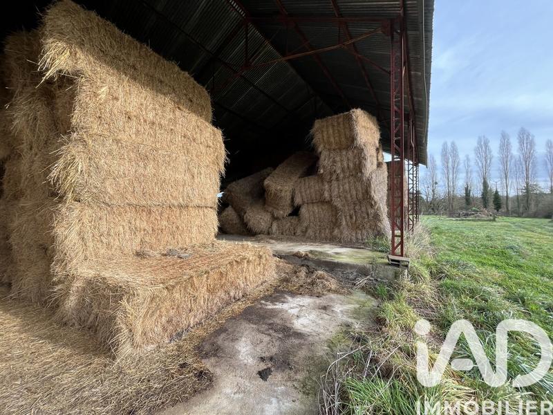 Terrain agricole - 15 845 m²