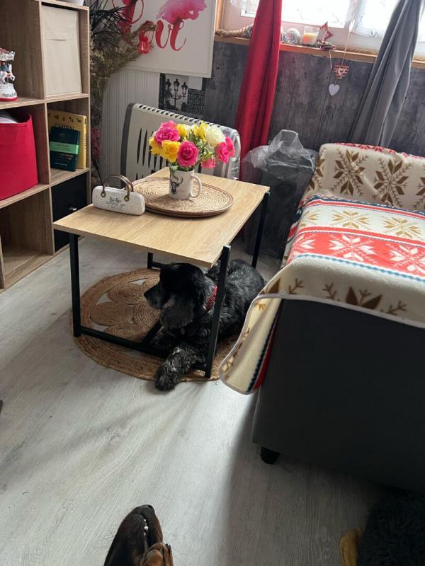 Maison - 26 m² - 1 pièce