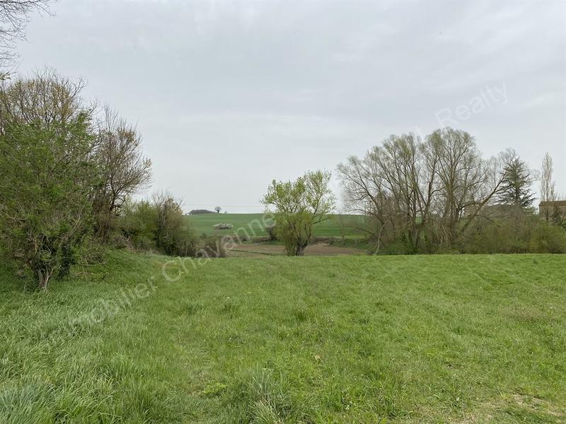 Château - 715 m² - 17 pièces