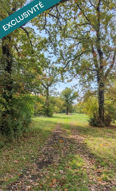 Terrain - 697 767 m²