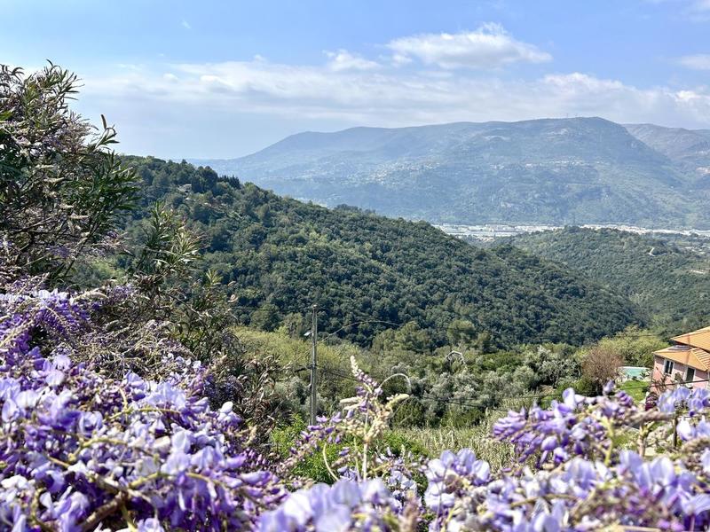 Maison - 201 m² - 5 pièces