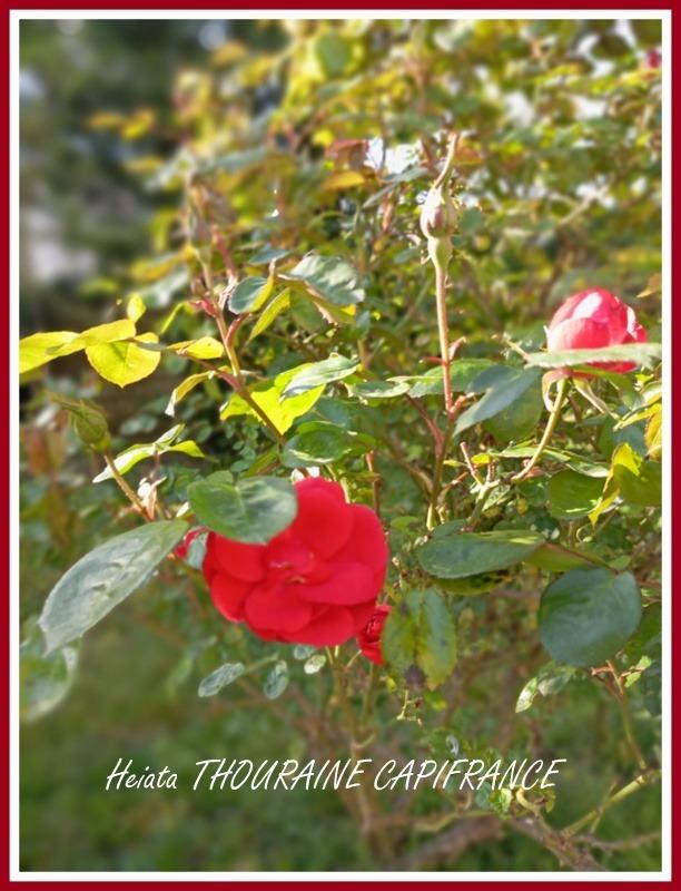 Maison - 267 m² - 9 pièces