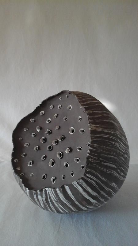 Exposition à la Maison de Loire : Harmonie sauvage