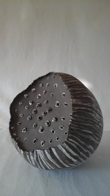 Exposition à la Maison de Loire : Harmonie sauvage