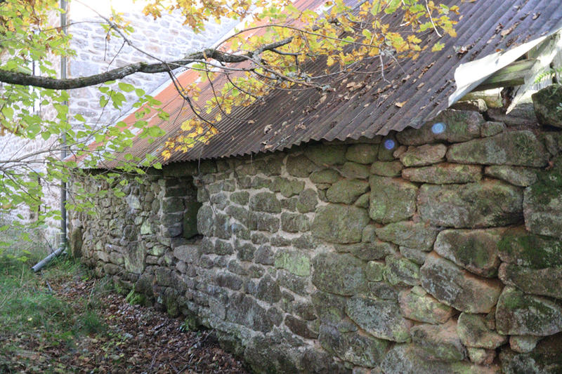 Maison - 45 m² - 1 pièce